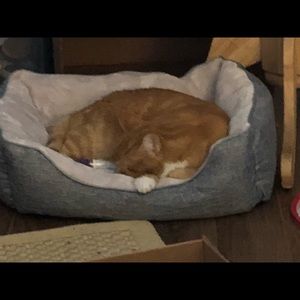 Meet your Posher, Norma